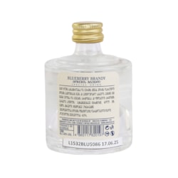 Vodka Anaseuli Blueberry 40% - 0.05L