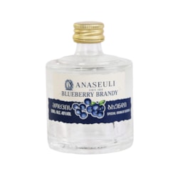 Vodka Anaseuli Blueberry 40% - 0.05L