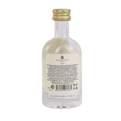 Vodka Anaseuli Fruit 40% - 0.05L